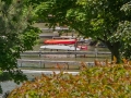 Elkhart Lake Shoreline