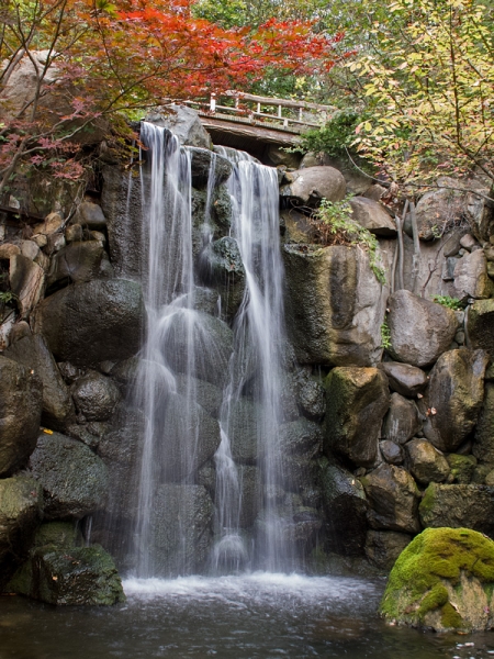 Anderson Japanese Garden