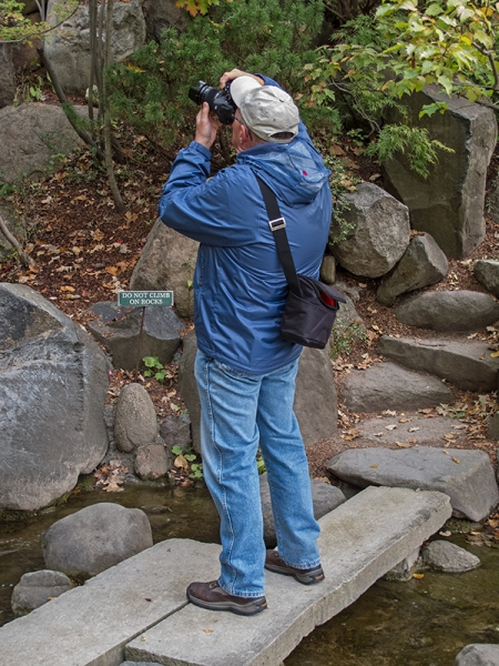 Anderson Japanese Garden