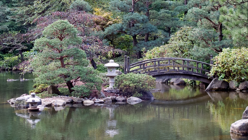 Anderson Japanese Garden