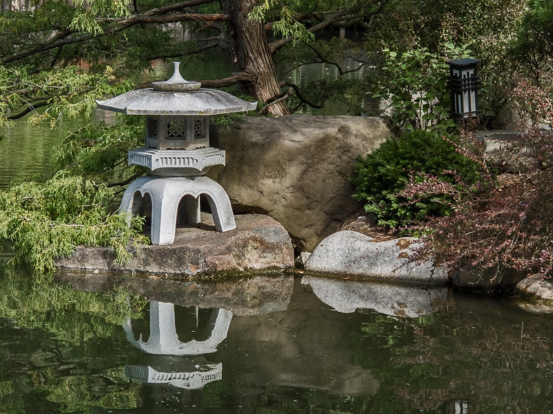 Anderson Japanese Garden
