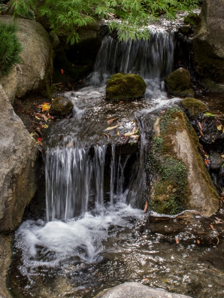 Anderson Japanese Garden