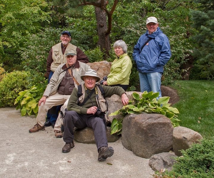 Anderson Japanese Garden