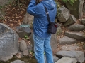 Anderson Japanese Garden