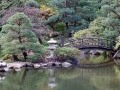 Anderson Japanese Garden