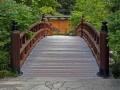 Anderson Japanese Garden
