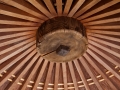 Anderson Japanese Garden