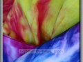 Tie-Dye Shirts