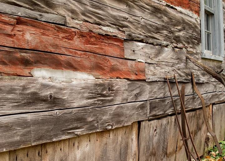 Colors, Lines, Shapes, and Textures