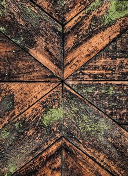 Colors, Lines, Shapes, and Textures