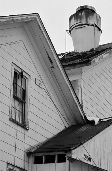 Colors, Lines, Shapes, and Textures