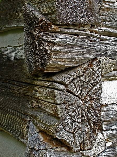 Colors, Lines, Shapes, and Textures