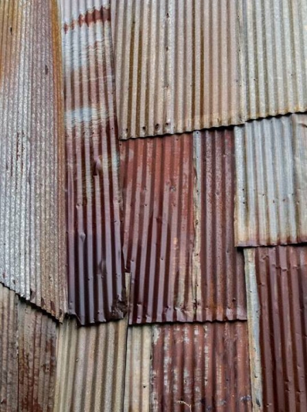 Colors, Lines, Shapes, and Textures