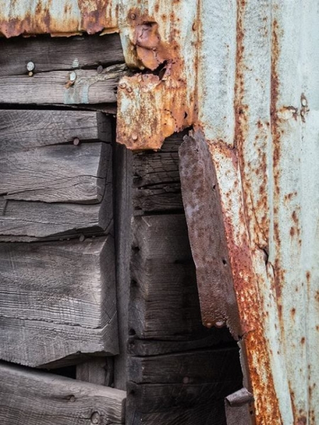 Colors, Lines, Shapes, and Textures