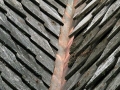Colors, Lines, Shapes, and Textures