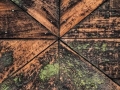 Colors, Lines, Shapes, and Textures