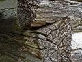 Colors, Lines, Shapes, and Textures