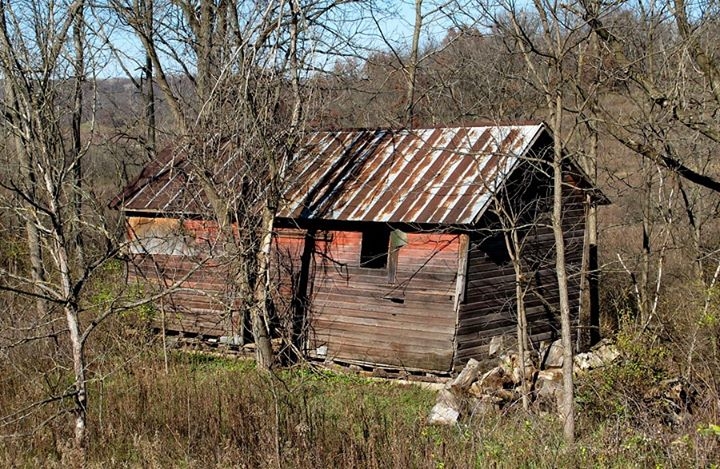 Shack in the Woods - CTH H, Iowa County, WI