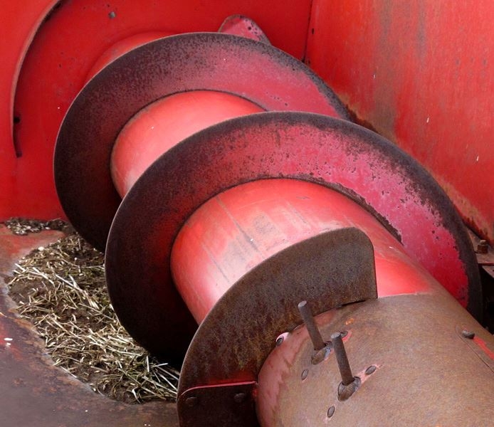 Red Augur