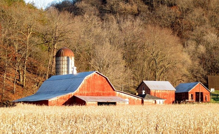 Along Rte. 35 near Prairie du Chien, WI
