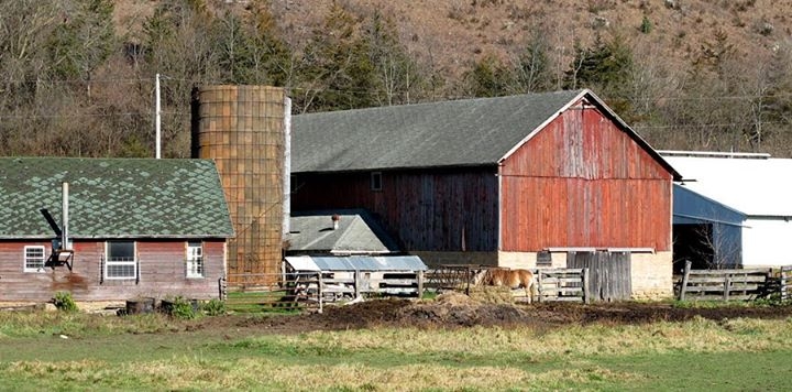 Along Wisconsin Rustic Roads