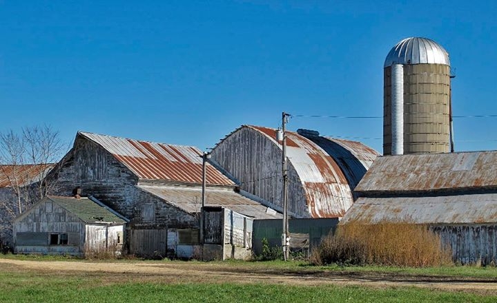 Rusty barns - Iowa County, WI