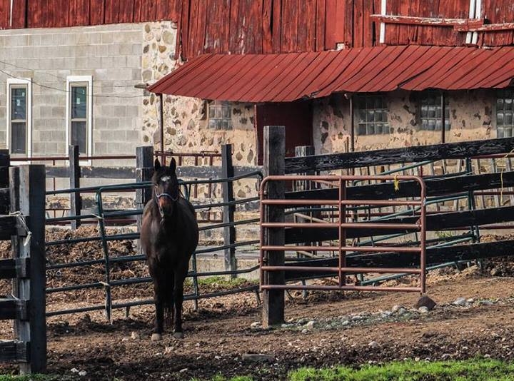 Along Wisconsin Rustic Roads