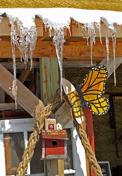 Antique Store Butterfly