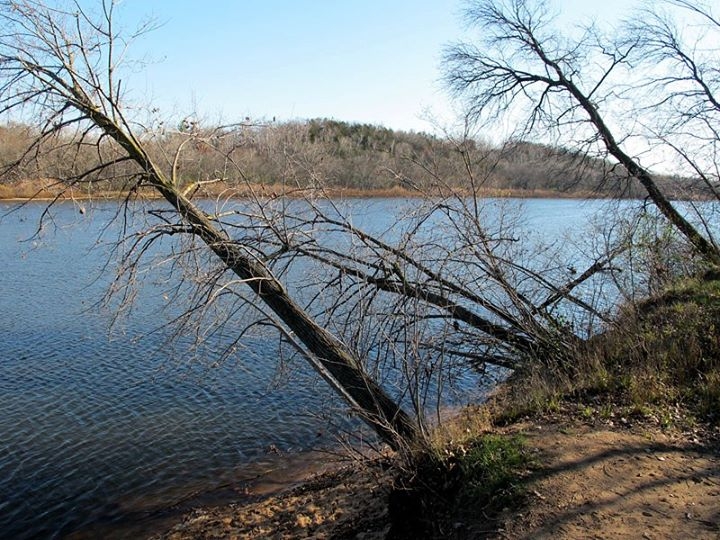 Wisconsin River near Sauk City