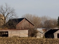 Along Wisconsin Rustic Roads