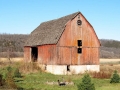Barn near Rushton on MN 16