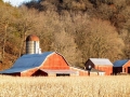 Along Rte. 35 near Prairie du Chien, WI