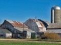 Rusty barns - Iowa County, WI