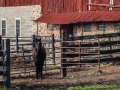 Along Wisconsin Rustic Roads