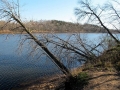 Wisconsin River near Sauk City