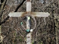 Memorial along CTH H near Ridgeway, WI. The plaque reads 'In Memory of BLUTO 1962-2001'.