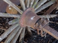 Hub and Spokes