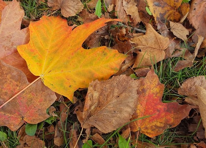 Fall in Wisconsin