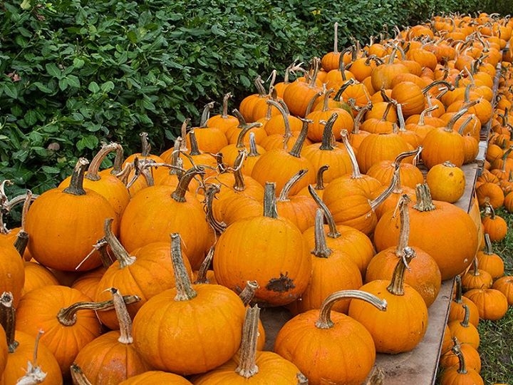 Fall in Wisconsin