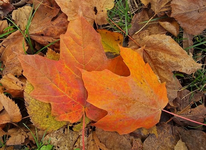Fall in Wisconsin