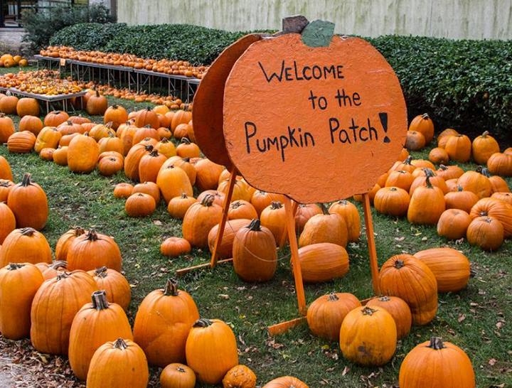 Fall in Wisconsin
