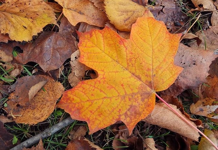 Fall in Wisconsin