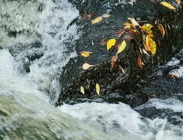 Fall in Wisconsin