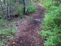 Fort Wilderness 2013