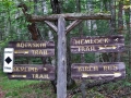 Fort Wilderness 2013