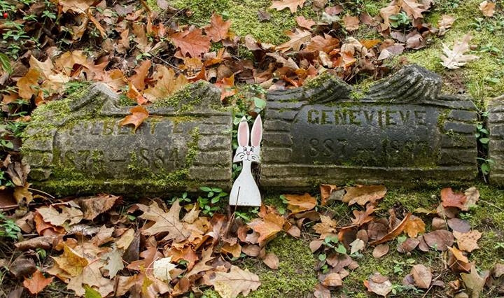 Irish Hollow Cemetery - Rockland, Michigan