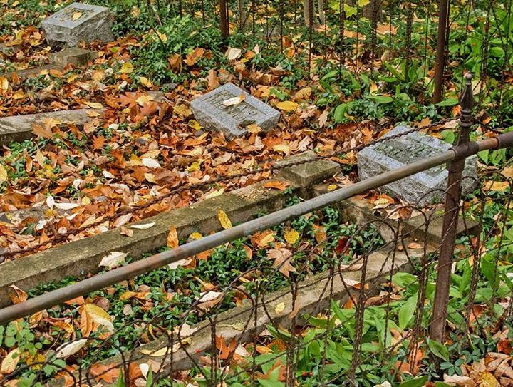 Irish Hollow Cemetery - Rockland, Michigan
