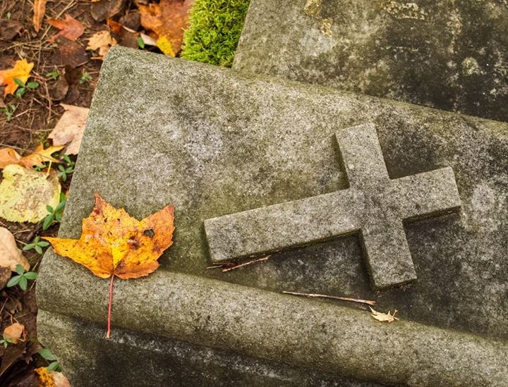 Irish Hollow Cemetery - Rockland, Michigan