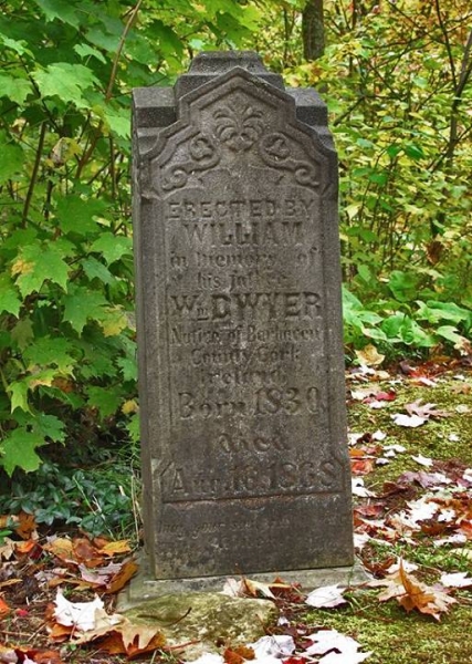 Irish Hollow Cemetery - Rockland, Michigan
