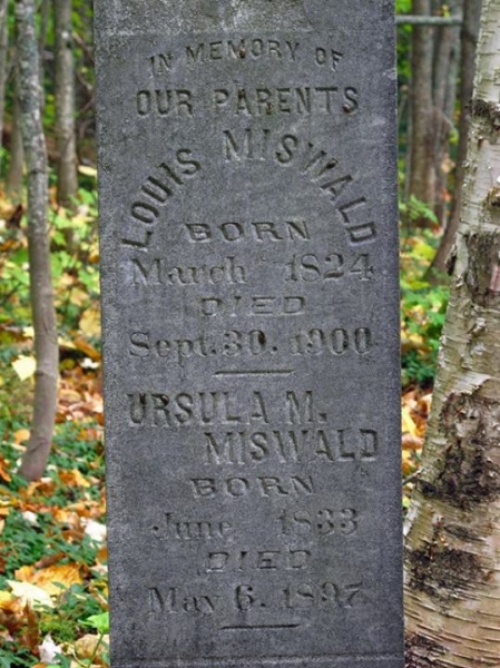 Irish Hollow Cemetery - Rockland, Michigan
